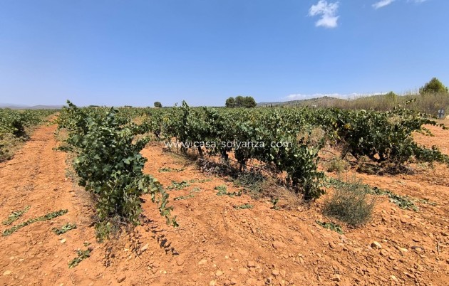 Resale - Land - Yecla - Inland