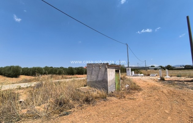 Resale - Land - Yecla - Inland