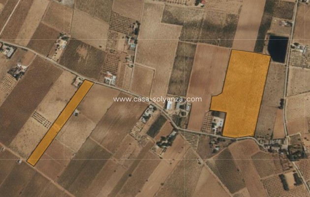 Resale - Land - Yecla - Inland