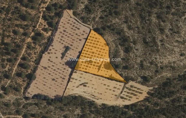 Resale - Land - Yecla - Inland