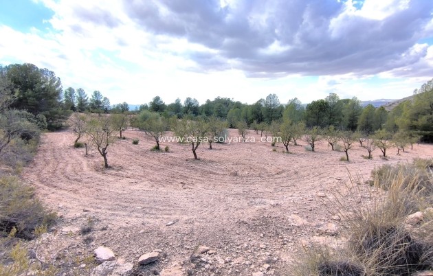 Resale - Land - Yecla - Inland
