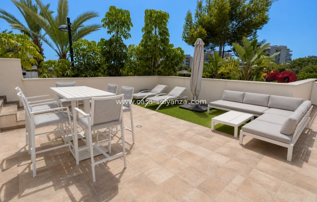 Resale - Apartment / flat - Los Dolses - Villamartin