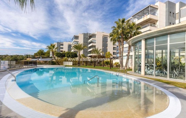 Resale - Apartment / flat - Los Dolses - Villamartin