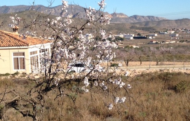 Herverkoop - Appartement / flat - Hondón de los Fráiles