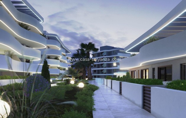Obra nueva - Apartamento / piso - Guardamar del Segura - El Raso