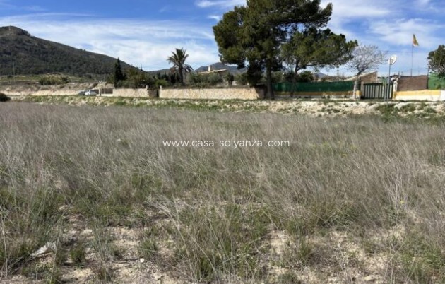 Herverkoop - Appartement / flat - La Romana