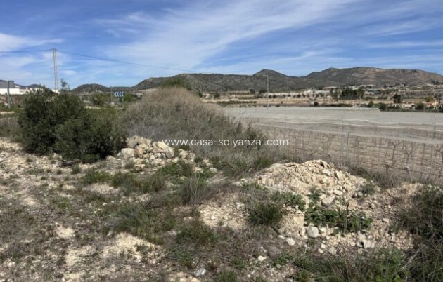 Herverkoop - Appartement / flat - La Romana
