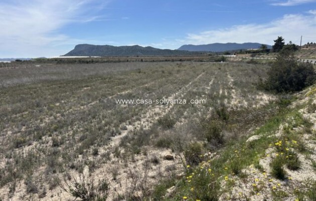 Herverkoop - Appartement / flat - La Romana