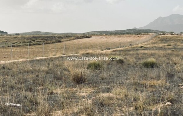 Reventa - Apartamento / piso - Torre del Rico