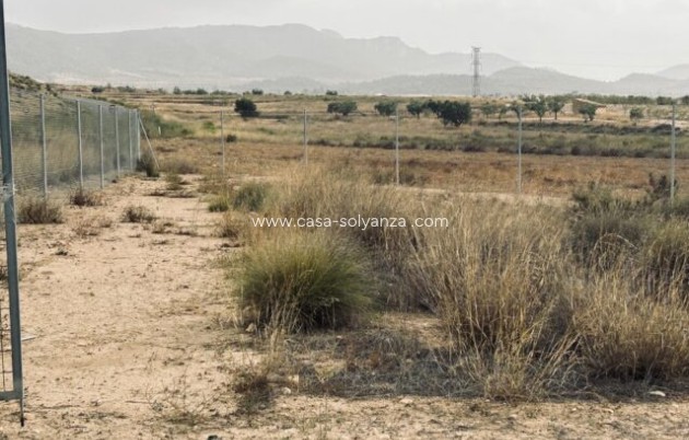 Reventa - Apartamento / piso - Torre del Rico