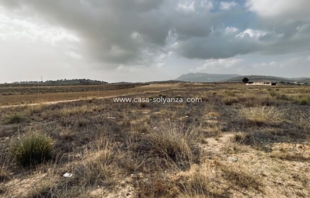 Reventa - Apartamento / piso - Torre del Rico