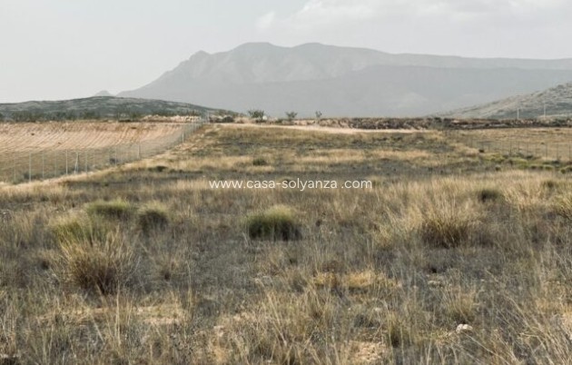 Reventa - Apartamento / piso - Torre del Rico