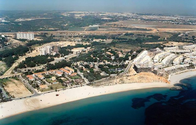 New Build - Villa - Orihuela Costa
