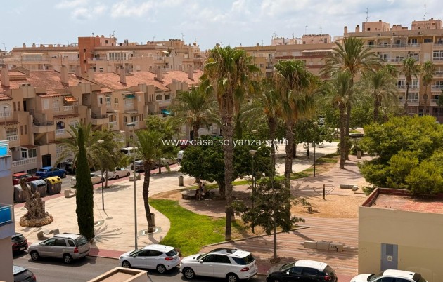 Wiederverkauf - Wohnung - Torrevieja - Estacion Autobuses