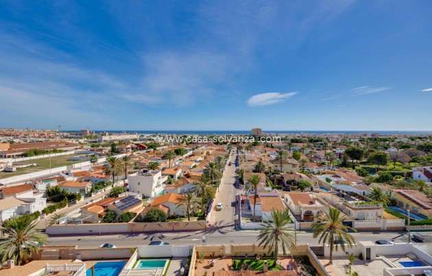 Resale - Apartment / flat - Torrevieja - Nueva Torrevieja