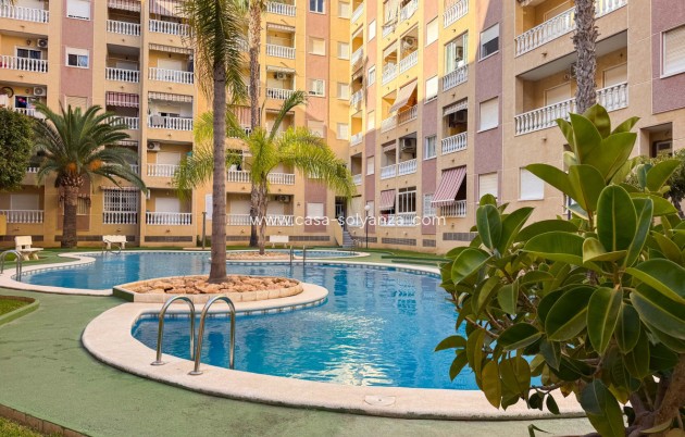Resale - Apartment / flat - Torrevieja - Torrevieja Centro