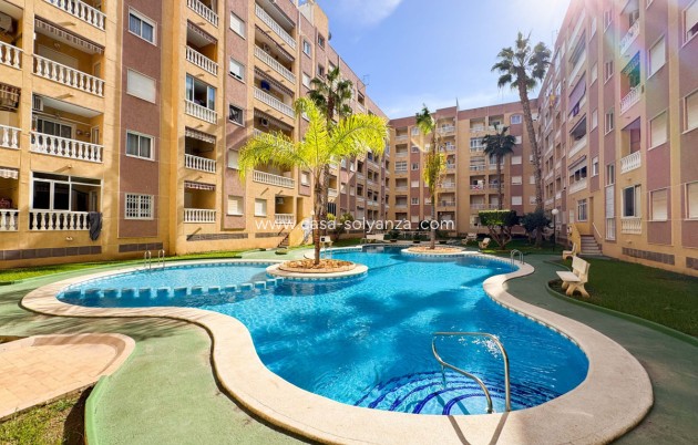 Resale - Apartment / flat - Alicante City - Parque de las Naciones