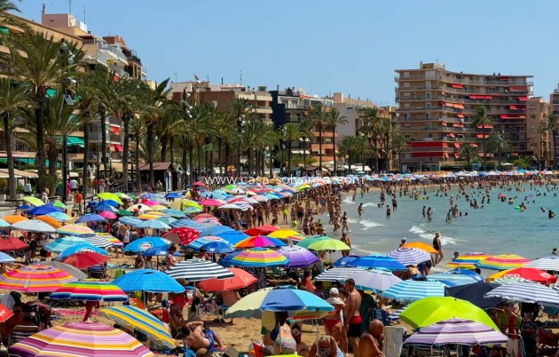 Resale - Apartment / flat - Alicante City - Parque de las Naciones