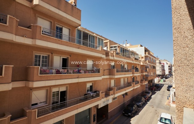 Herverkoop - Appartement / flat - Torrevieja - La Mata