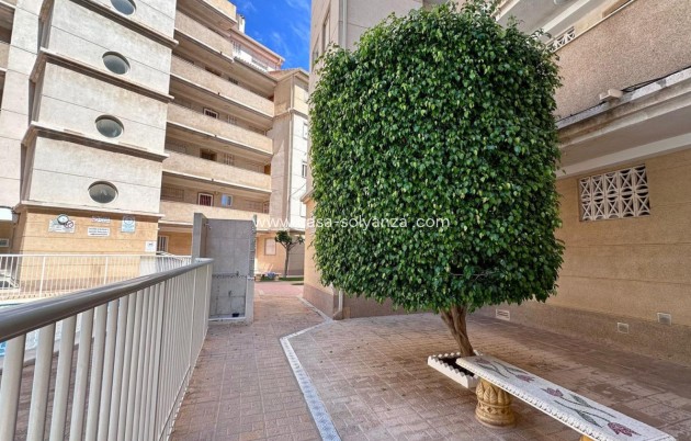 Resale - Apartment / flat - Torrevieja - Torrevieja Centro