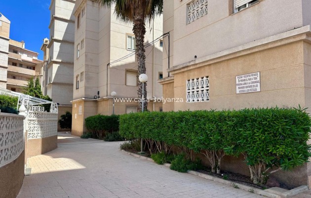 Resale - Apartment / flat - Torrevieja - Torrevieja Centro