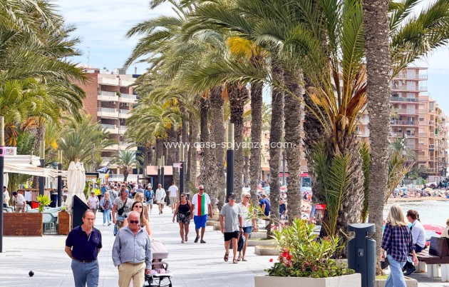 Resale - Apartment / flat - Torrevieja - Torrevieja Centro