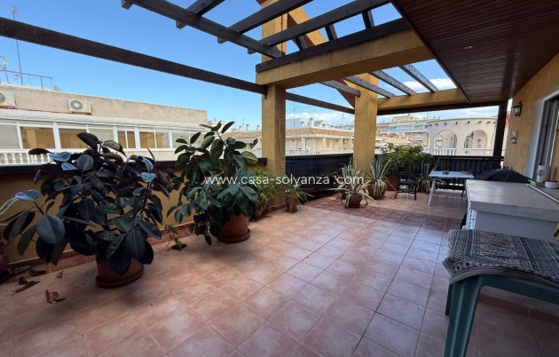 Herverkoop - Appartement / flat - Torrevieja - Torrevieja Centro