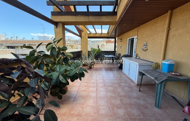 Herverkoop - Appartement / flat - Torrevieja - Torrevieja Centro