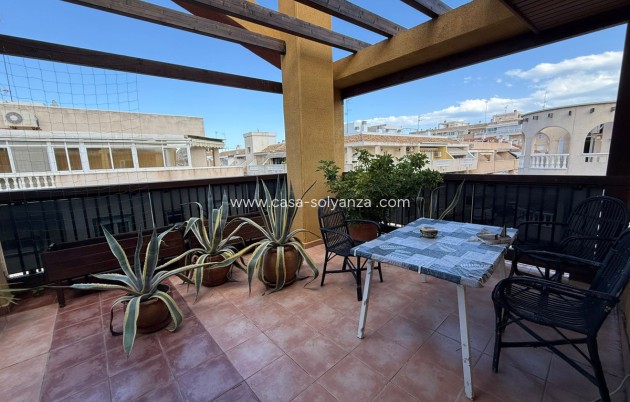 Herverkoop - Appartement / flat - Torrevieja - Torrevieja Centro