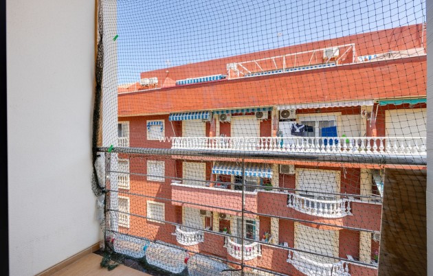 Revente - Appartement - Torrevieja - Torrevieja Centro