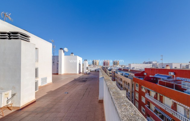 Revente - Appartement - Torrevieja - Torrevieja Centro