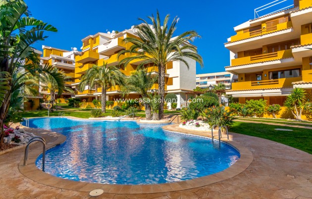 Wiederverkauf - Wohnung - Orihuela - Punta Prima