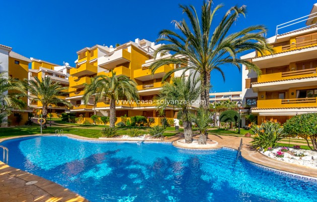Wiederverkauf - Wohnung - Orihuela - Punta Prima