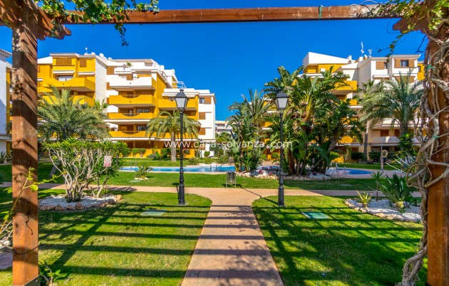 Wiederverkauf - Wohnung - Orihuela - Punta Prima