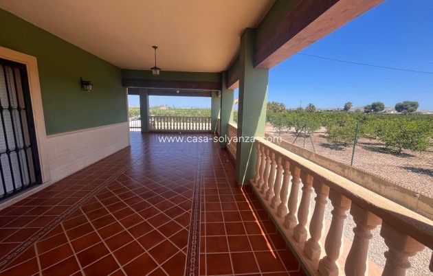 Resale - Country Property/Finca - Daya Nueva - La Bodega