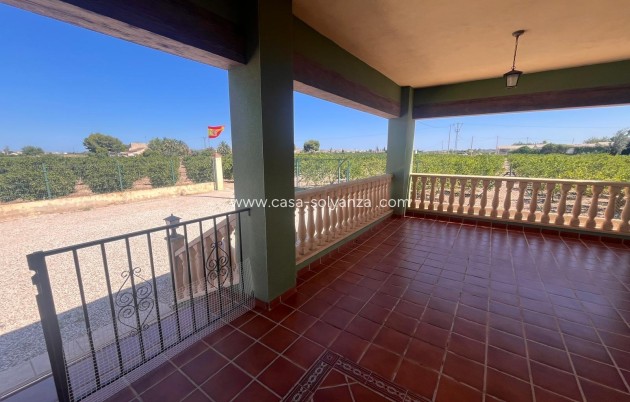 Resale - Country Property/Finca - Daya Nueva - La Bodega