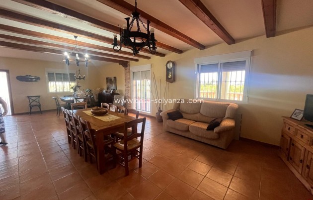 Resale - Country Property/Finca - Daya Nueva - La Bodega