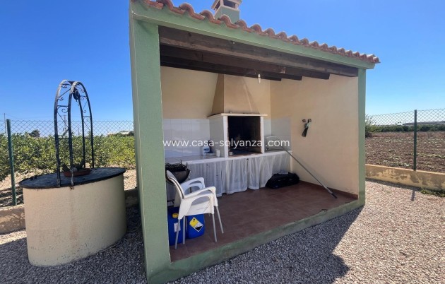 Resale - Country Property/Finca - Daya Nueva - La Bodega