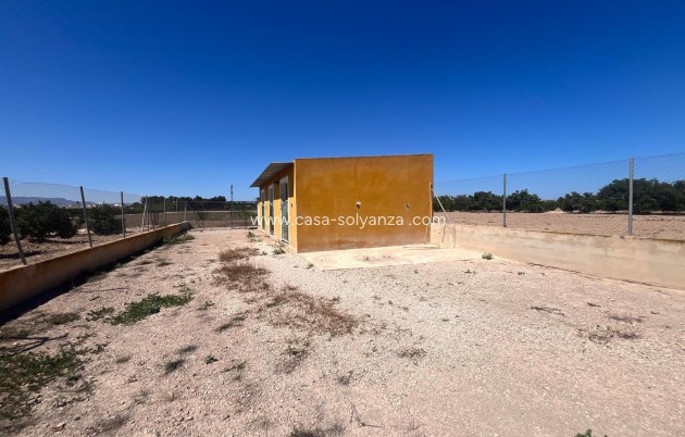 Resale - Country Property/Finca - Daya Nueva - La Bodega