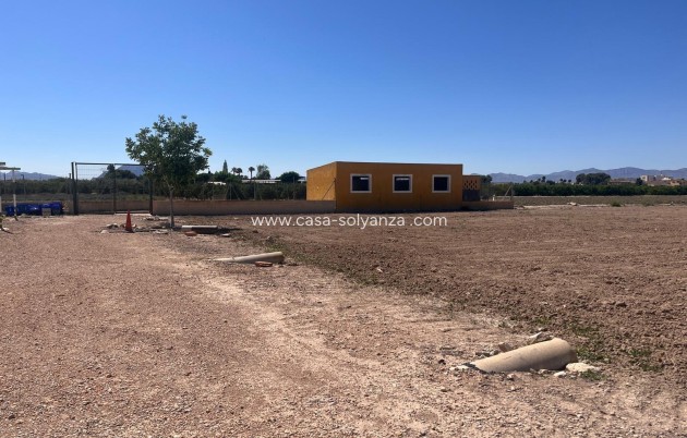Resale - Country Property/Finca - Daya Nueva - La Bodega