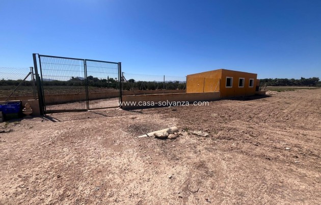Resale - Country Property/Finca - Daya Nueva - La Bodega