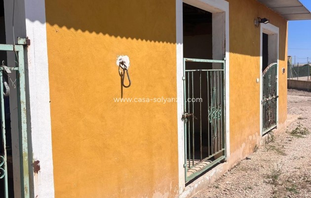 Resale - Country Property/Finca - Daya Nueva - La Bodega