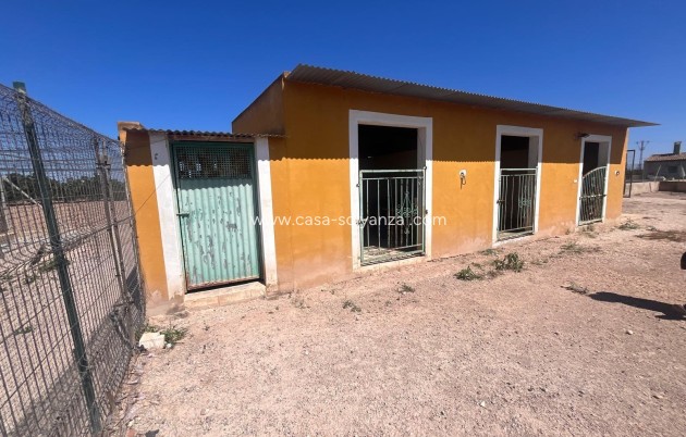 Resale - Country Property/Finca - Daya Nueva - La Bodega