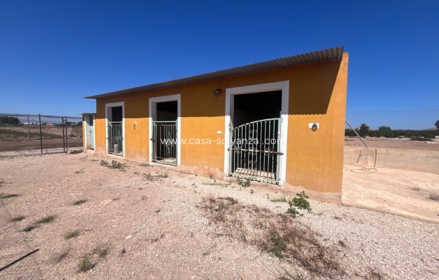Resale - Country Property/Finca - Daya Nueva - La Bodega