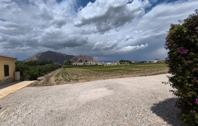 Wiederverkauf - Country Property/Finca - Orihuela