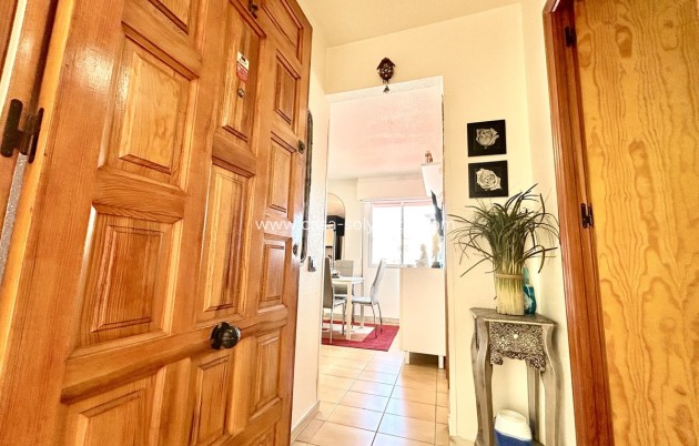 Wiederverkauf - Wohnung - Torrevieja - Torrevieja Centro