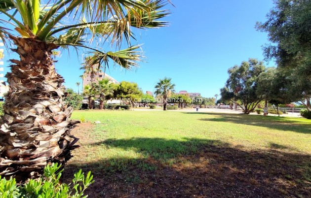 Resale - Apartment / flat - Torrevieja - Torrevieja Centro
