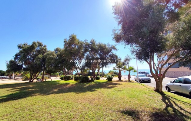 Resale - Apartment / flat - Torrevieja - Torrevieja Centro