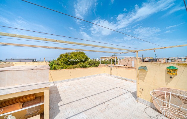 Resale - Apartment / flat - Torrevieja - Torrevieja Centro
