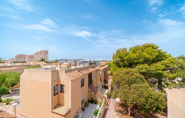 Resale - Apartment / flat - Torrevieja - Torrevieja Centro